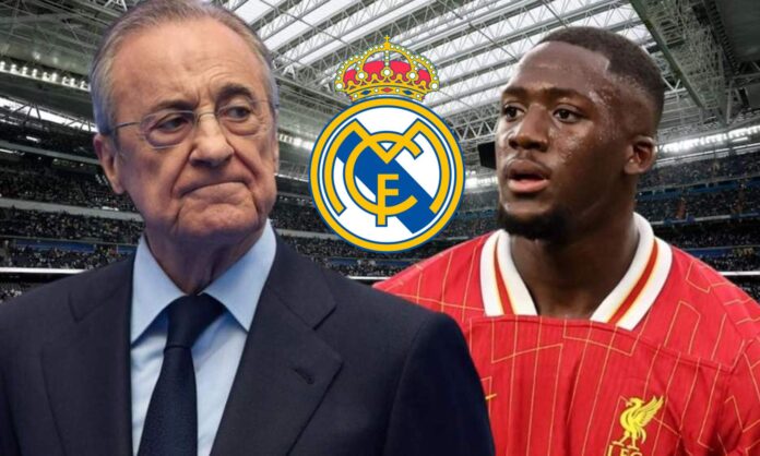 Florentino y Konaté