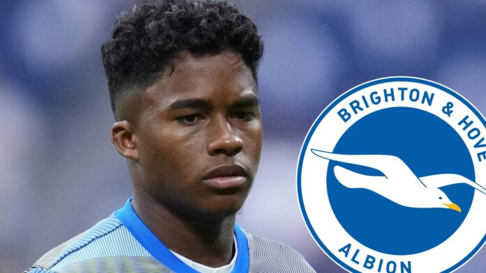 La fórmula novedosa que propone el Brighton para llevarse a La fórmula novedosa que propone el Brighton para llevarse a Endrick