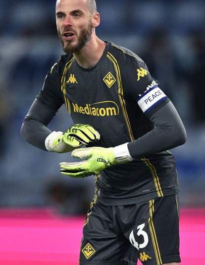 De Gea, portero de la Fiorentina. De Gea, portero de la Fiorentina.
